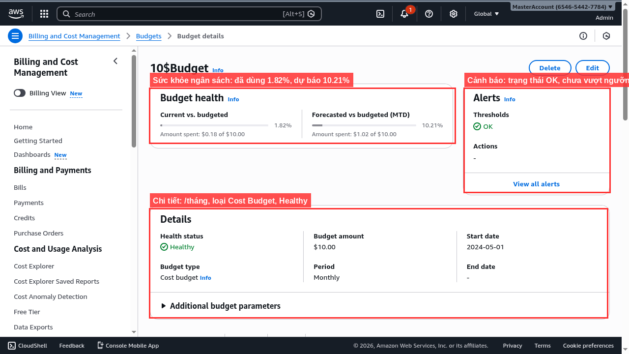 Chi tiết ngân sách với biểu đồ chi phí thực tế so với giới hạn