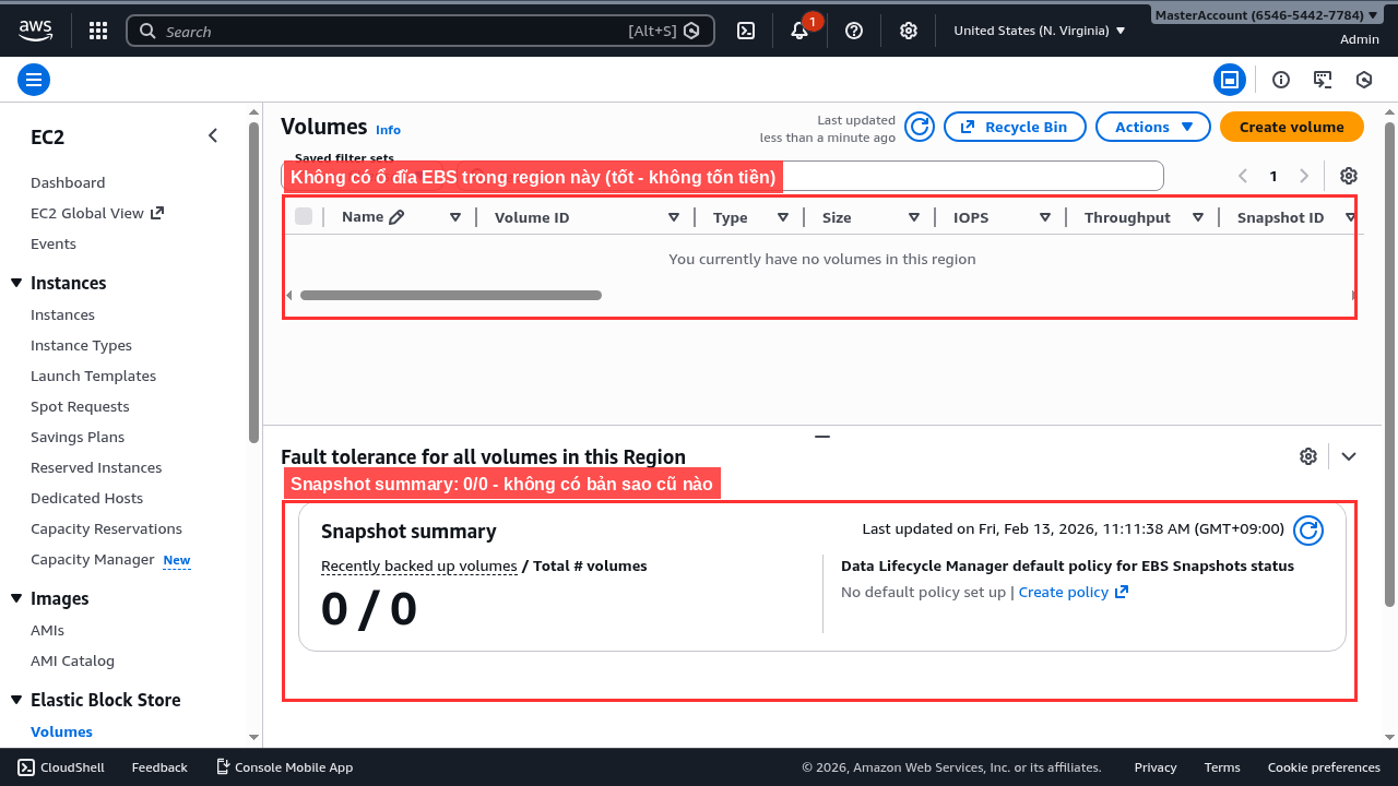 Trang EBS Volumes và Snapshot summary
